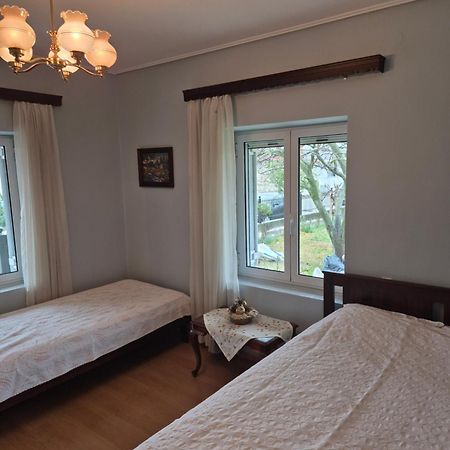 Villa Anna Mitropolis  Екстер'єр фото
