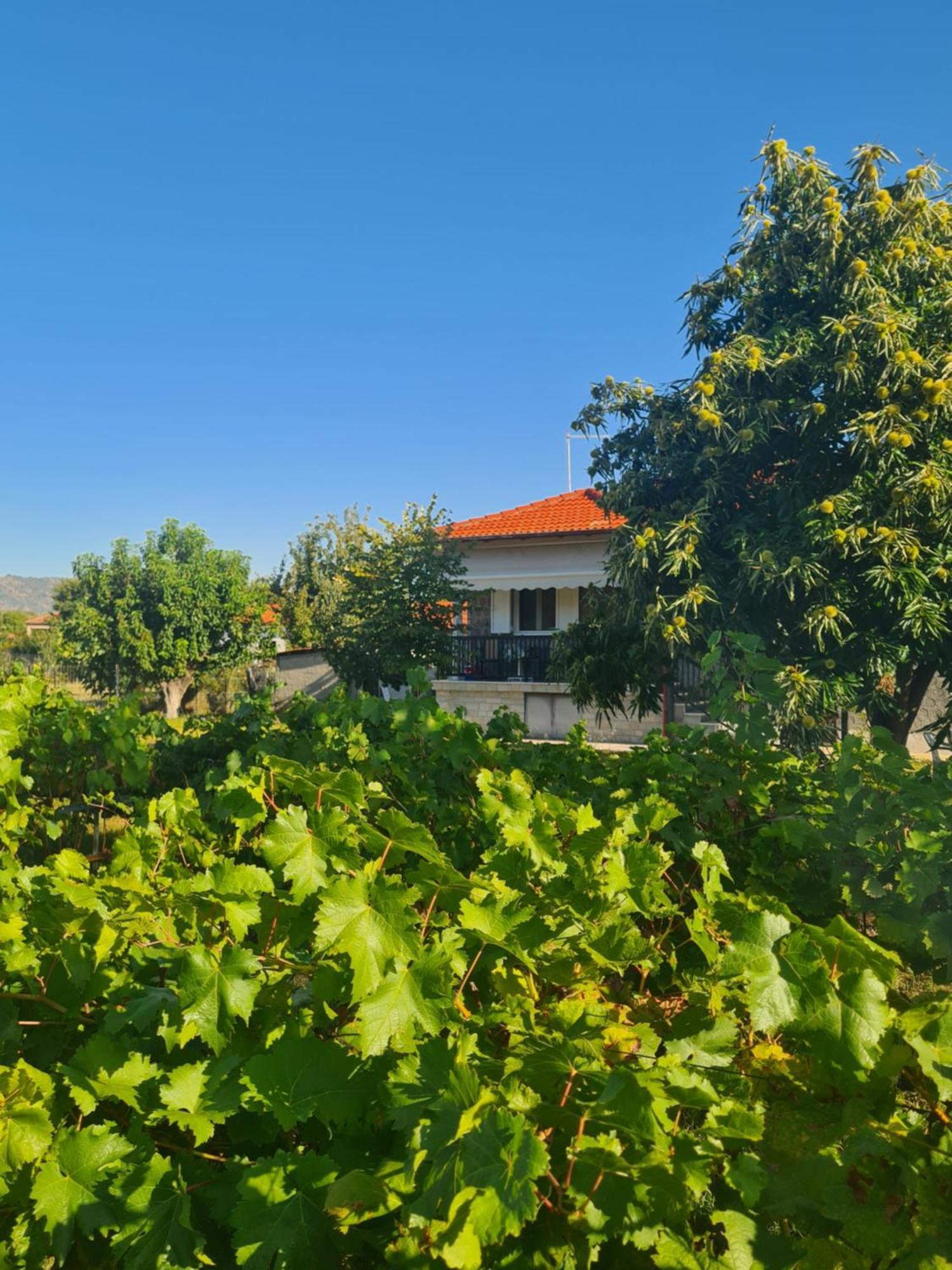 Villa Anna Mitropolis  Екстер'єр фото